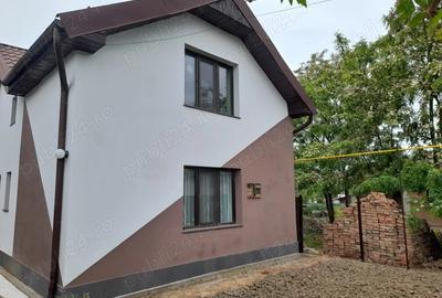 Vand casa Peciu Nou - 2