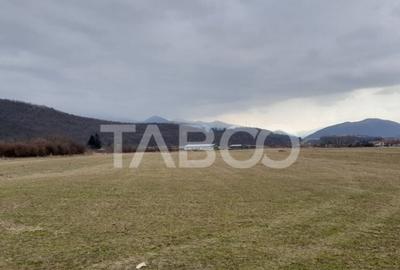 Teren intravilan 11.400 mp deschidere 45 ml in Talmaciu zona - 1