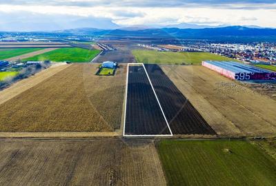 Teren agricol extravilan de 25000 mp, în IAR - 8