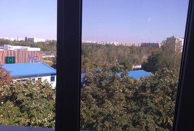 Camil Ressu, Park Lake, Piata Ramnicu Sarat - 4