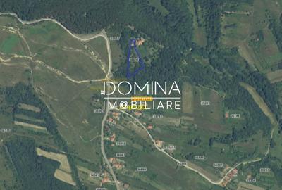 Teren Construcții de 4790 mp, în Mușetești - 3