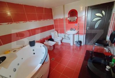 Casa P+M, 418 mp curte, 150mp util, parc Romanescu  Extensiv - 7