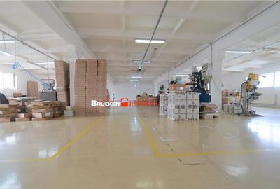 Oportunitate de investitie | Hala Parc Industrial 1 - 6