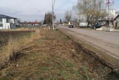 Teren de 7500 mp, în Adunații-Copăceni - 3