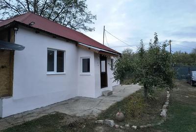 Casa de vanzare la tara - 10