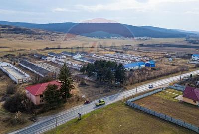 Spațiu industrial, de 800 mp, în Traian - 5