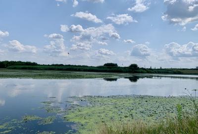 Teren agricol intravilan de 62000 mp, în Crevedia - 17