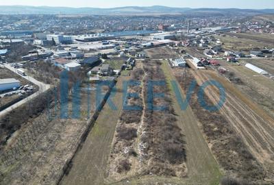 Teren Construcții intravilan de 5974 mp, în Mărgineni - 4