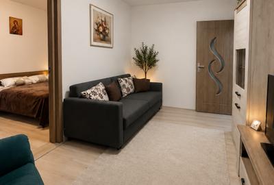 Apartament cu 2 camere semidecomandat, mobilat în Casa de Cultură - 2