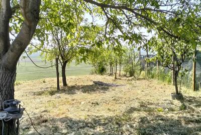 Casă cu 3 camere în Băneasa - 2