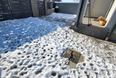 Duplex cu 4 camere si 2 bai,mobilat si utilat,Covaci - 18