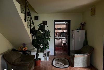 Casă cu 2 camere cu Teren 4368 Mp în Certeju de Sus - 5