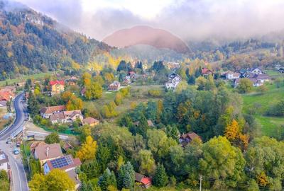 Casa traditionala de vacanta | 3 camere | BRAN | COMISION 0 | Casa traditionala de vacanta | 3 camere | BRAN | COMISION 0 | - 22
