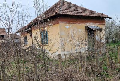 Spațiu comercial, în Goicea - 3