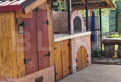 Casă individuală cu 12 camere cu Garaj în Viștișoara - 18