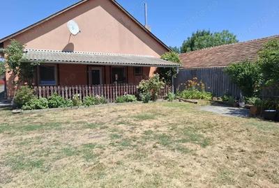 Casă cu 4 camere cu Teren 5456 Mp în Nădlac - 20
