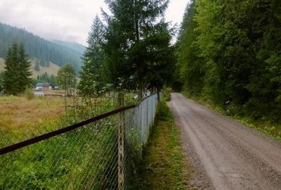 Teren de 1500 mp, în Mitocu Dragomirnei - 4