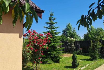 Casă cu 4 camere în Ciorogârla - 6