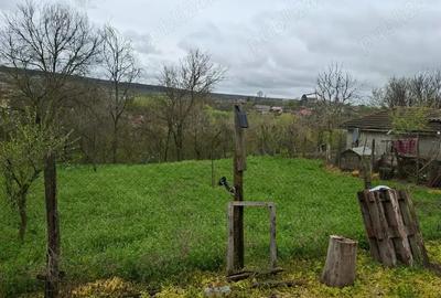 Casă cu 6 camere în Mihai Bravu - 1