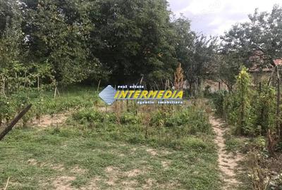 Casa in Cricau cu 3 camere de vanzare teren de 1300 mp - 5