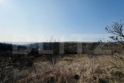 Conac cu teren intravilan 8759 mp, priveliste panoramica, Ci - 3