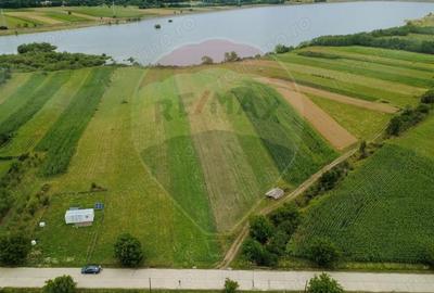 Teren superb Unciuc / jud.Hunedoara - 6