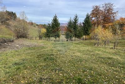 Teren de Vis in Bran - 1000mp Plat, Liniste Absoluta si Aer Curat - 5