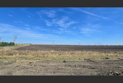 Teren extravilan cu potențial de dezvoltare, la sosea DN6 - 3