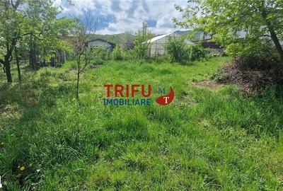 Teren de 958 mp, în Micești - 4
