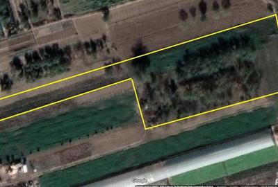 Teren de 4700 mp, în Copăceni - 1