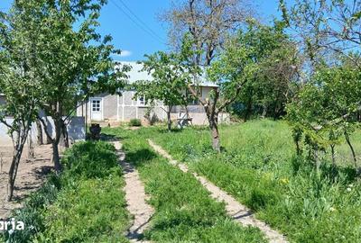 Casă cu 2 camere cu Teren 5914 Mp în Central - 5