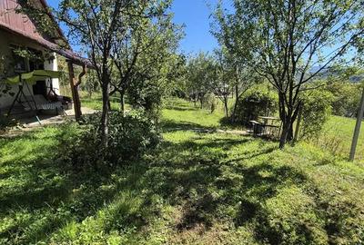 Teren intravilan in zona Sarma? - 3