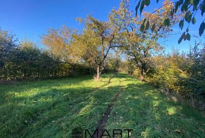 Teren agricol extravilan de 3200 mp, în Rășinari - 2