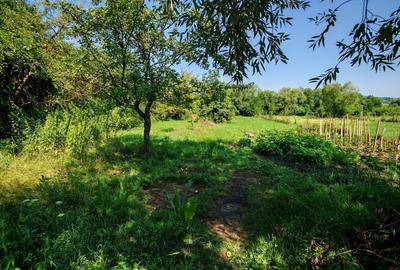 Casă individuală cu 12 camere cu Canalizare în Vulcan - 23