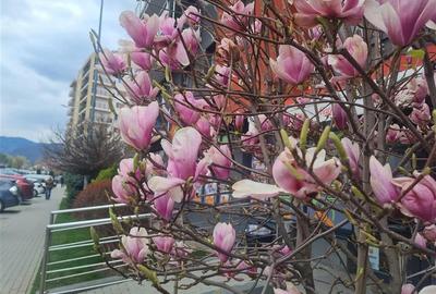 Apartament mobilat/utilat, Aria Coresi,Tractorul, Brasov - 6
