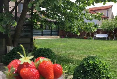 Casă în Lunca Cetățuii - 4