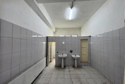 Drumul Intre Tarlale spatiu productie 1350 mp - 16