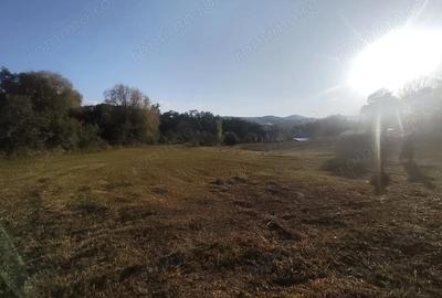 Teren de 2631 mp, în Malu Mierii - 7