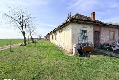 Casă cu 4 camere în Central