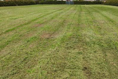 Spațiu comercial, în Miroslava - 8