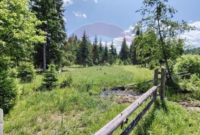 Teren 19,370mp Neagra Sarului / Strada ?estina - 13