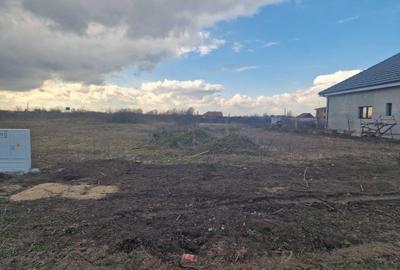 Spațiu comercial, în Moșnița Nouă - 1