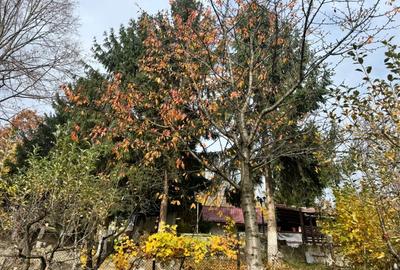 Casa moderna cu priveliste panoramica - ideala pentru investitie turistica - 14