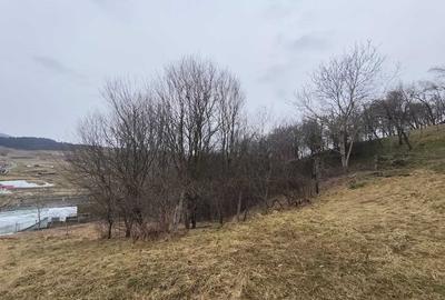 Spațiu comercial, în Sic - 3