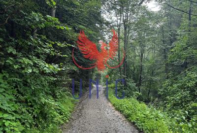 Teren Construcții extravilan de 18000 mp, în Exterior Est - 33