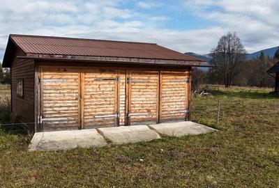 Se vinde casa si teren 3800 mp in Poiana Stampei . - 3