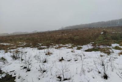 Teren de 1000 mp, în Cârcea - 1