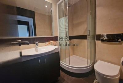 Apartament cu 3 camere în Iancu Nicolae - 17