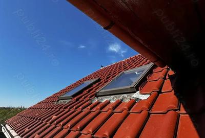 Vila cu livada Paulis, Arad Vila cu livada Paulis, Arad - 5