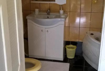 Casă cu 5 camere cu Teren 767 Mp în Buziașului